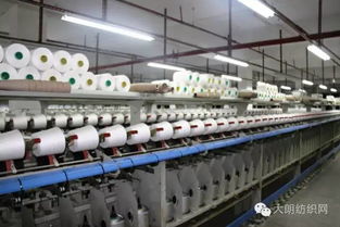 万客纺织 以产业链韧性织就锦纶面料新格局